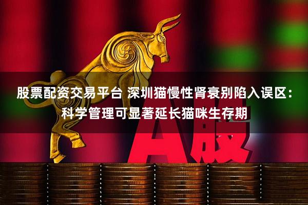 股票配资交易平台 深圳猫慢性肾衰别陷入误区：科学管理可显著延长猫咪生存期